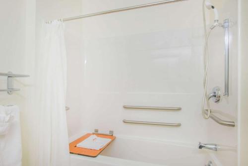 a bathroom with a shower and a bath tub at Microtel Inn & Suites by Wyndham Plattsburgh in Plattsburgh