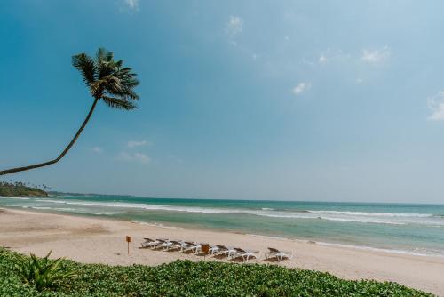 a group of chairs on a beach with a palm tree at Vanina Villas in Matara