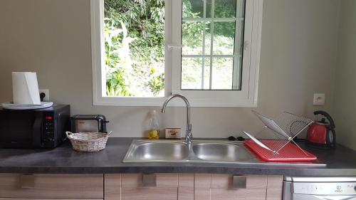 um balcão de cozinha com um lavatório e uma janela em Les Terrasses de Niagara em Sainte-Suzanne