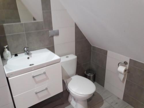 La salle de bains est pourvue de toilettes blanches et d'un lavabo. dans l'établissement Topolowa, à Zgierz
