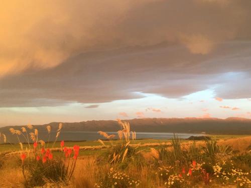 a view of a field with flowers in the foreground at The Cliffs Seaside Lodge in Tuatapere