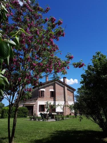 Barchessa Da Rio – Photos 2
