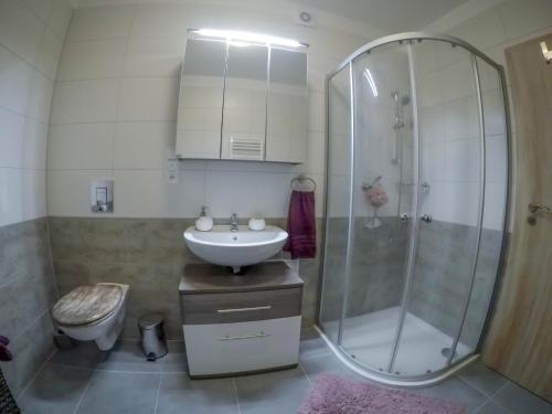 Un baño con ducha, lavabo e inodoro. en Lipánek, en Frymburk