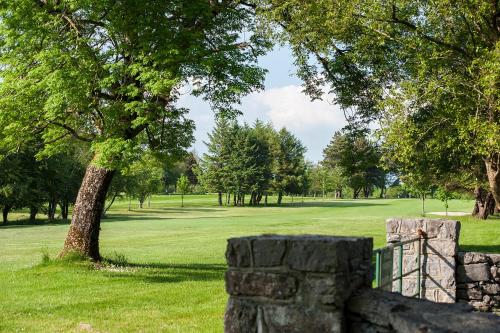a tree in a field with a fence at The Waterfront House Country Home in Oughterard
