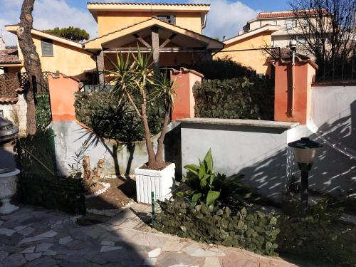 a house with a small tree in a yard at Isola Verde Guest House in Fiumicino