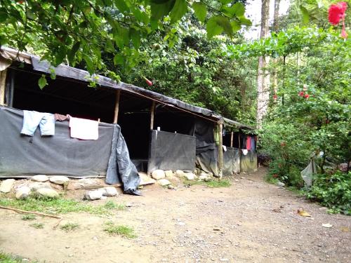 Jungle treking & Jungle Tour if you want to stay here,you must book treking only with usにある庭