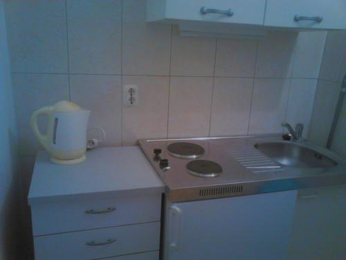 a small kitchen with a sink and a stove at Apartman Roko in Novalja