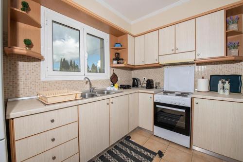 uma cozinha com um lavatório e um fogão em D&C apartment em Kontokali