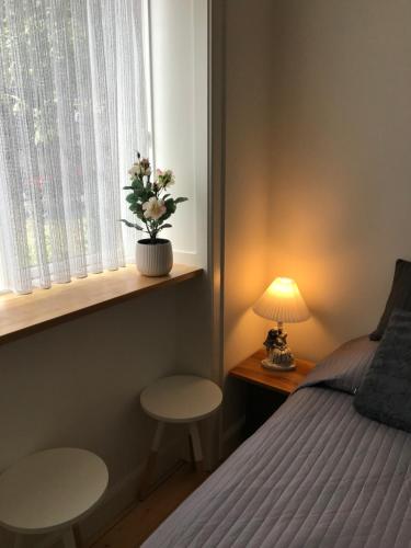 um quarto com uma cama e uma janela com um vaso de plantas em TosleepinCPH em Copenhague