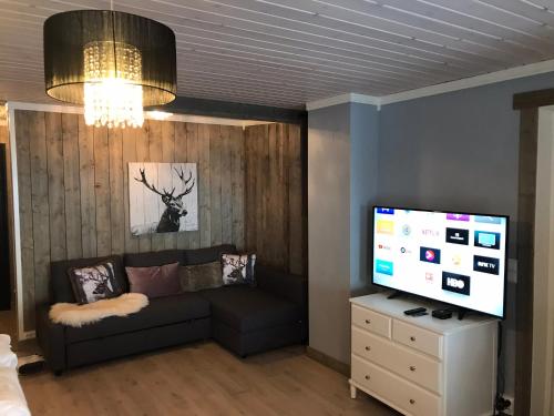 sala de estar con sofá y TV de pantalla plana en Kvamseter Lodge, en Kvamseter