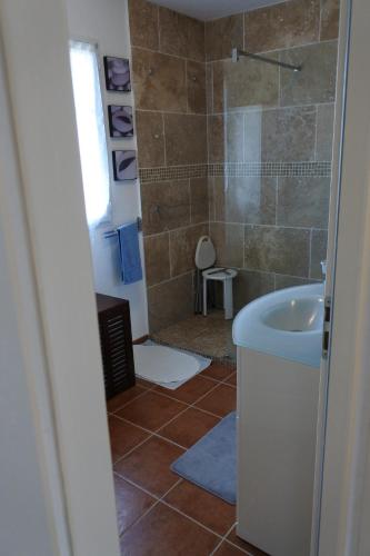 a bathroom with a sink and a shower at Patrimonio chambre avec commodités chez l’habitant in Patrimonio
