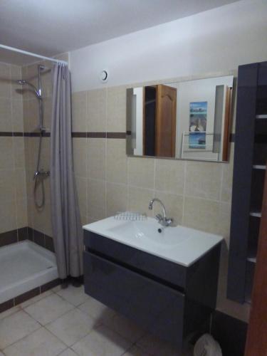 une salle de bain avec un lavabo, une douche et une baignoire dans l'établissement lou farniente, à Flayosc