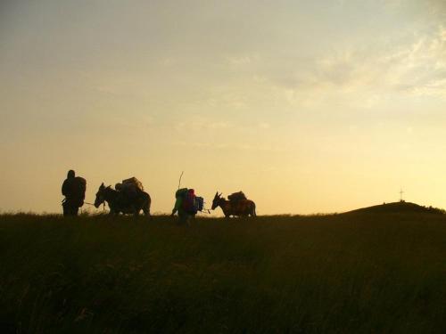 a group of people with horses in a field at Ciuchi House in Cantalupo Ligure