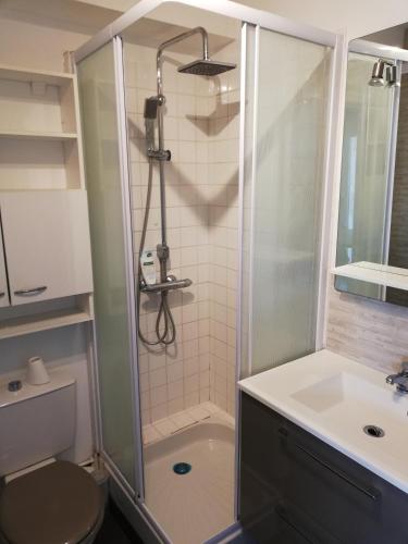 une salle de bain avec douche et lavabo dans l'établissement Charmant studio bord de mer, à Ouistreham