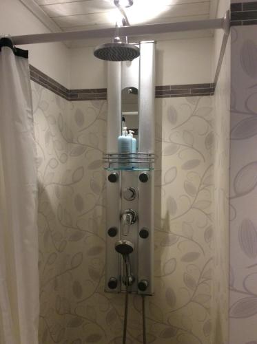 a shower stall in a bathroom with a shower curtain at Mysig och modern Stuga på Snögård, nära havet och naturen in Lur