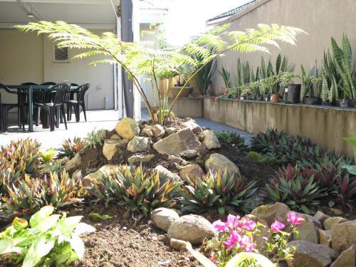 a garden with a palm tree and rocks and plants at The Crescent Guesthouses - BnB/Self Catering in Durban