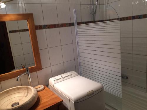 a bathroom with a toilet and a sink and a shower at Orée des pistes in Combloux