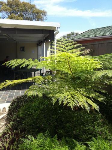 Taman di luar The Crescent Guesthouses - BnB/Self Catering