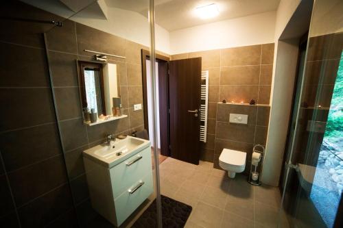a bathroom with a sink and a toilet and a shower at Apartmán Ježko in Tale