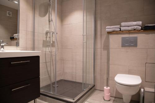 a bathroom with a shower with a toilet and a sink at Chalet Victoire in Chamonix-Mont-Blanc