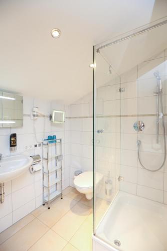a bathroom with a shower and a toilet and a sink at Schwaigeralm in Kreuth