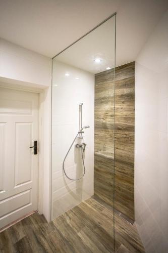 una ducha en un baño con puerta de cristal en MoHo L, en Wroclaw