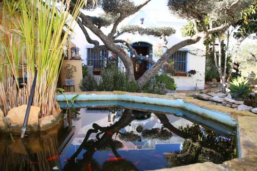 CamarlesにあるCasa Rural Delta del Ebro Ecoturismoの木のある家の庭のプール