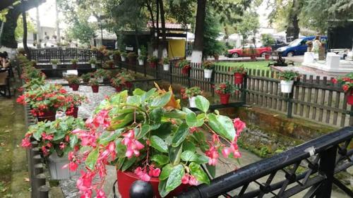 a bunch of flowers in pots on a fence at Guest House Sakis. in Órma