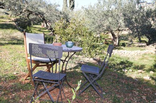 Yurta Mongola Delta del Ebro – Photos 3