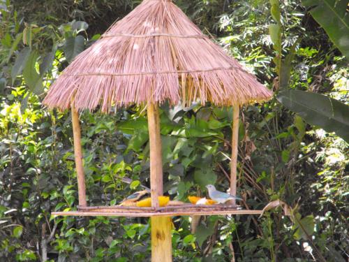 Un jardín fuera de Pousada Cascata dos Amores
