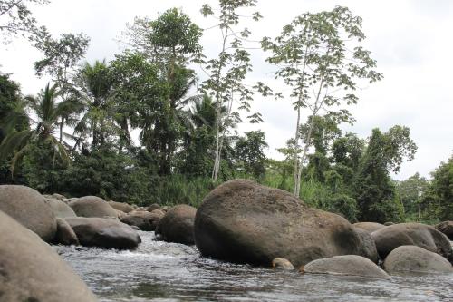 a river with rocks and trees in the background at Horquetas River Lodge in Sarapiquí