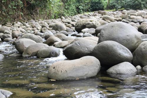 a rocky river with rocks and water and trees at Horquetas River Lodge in Sarapiquí