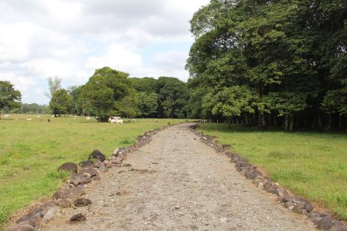 a dirt road in a field with trees at Horquetas River Lodge in Sarapiquí