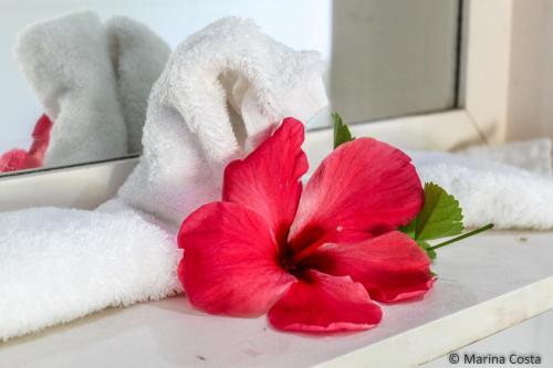 eine rote Blume auf einem Waschbecken mit Handtüchern in der Unterkunft Surf Tropical Villa Takamaka in Île au Cerf