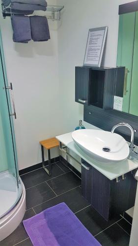 a bathroom with a sink and a toilet at Hotel Leonhardihof in Bad Tölz