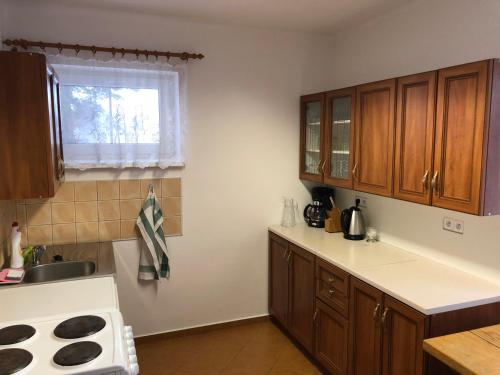 a kitchen with wooden cabinets and a sink and a window at Apartmány Klárka in Rokytnice nad Jizerou