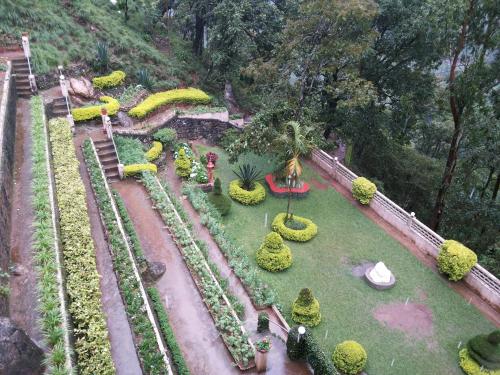 an aerial view of a garden with plants and trees at Abad Copper Castle Resort in Munnar