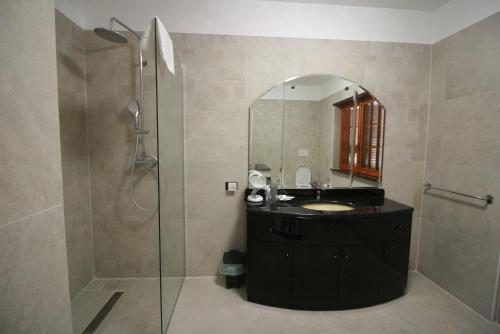 a bathroom with a sink and a shower with a mirror at La stanza di villa Sara in Civitavecchia