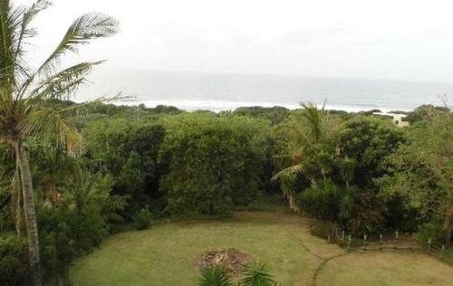 uma vista para um quintal com árvores e o oceano em Isigidi Beach House em Port Shepstone