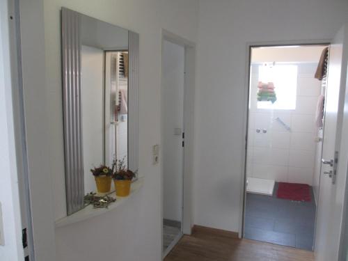 a bathroom with a mirror and a sink and a shower at Fewo Am Rathausplatz in Freiburg im Breisgau