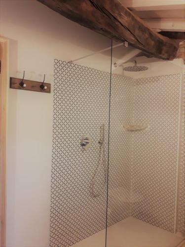 a shower with a glass door in a bathroom at Agriturismo Cascina Pezzolo in Lodi