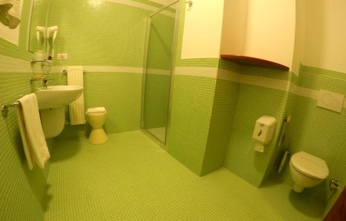 a green bathroom with a toilet and a sink at Hotel Villa Sophia in Sanremo