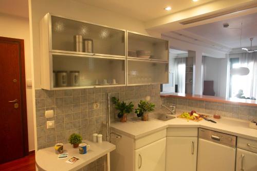 Virtuvė arba virtuvėlė apgyvendinimo įstaigoje The Lux gorgeous apartment