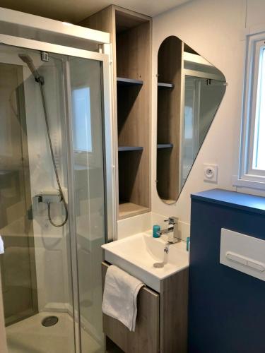 une salle de bain avec une douche, un lavabo et un miroir dans l'établissement Camping Au Pré de l'Étang, à Sainte-Foy