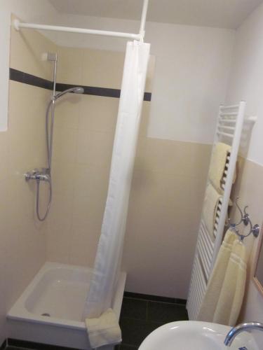 a bathroom with a shower and a toilet and a sink at Hotel Waldesruh in Düsseldorf
