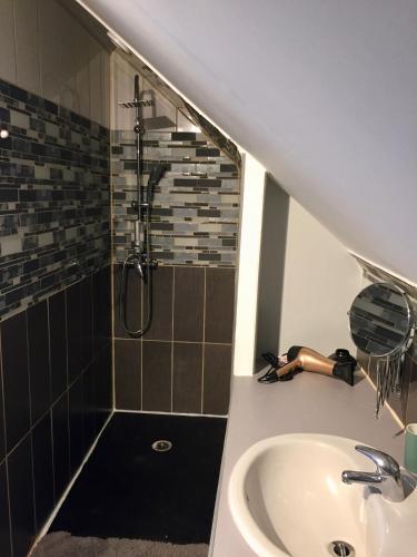 a bathroom with a sink and a shower at Le Rouge & Blanc in Mormont