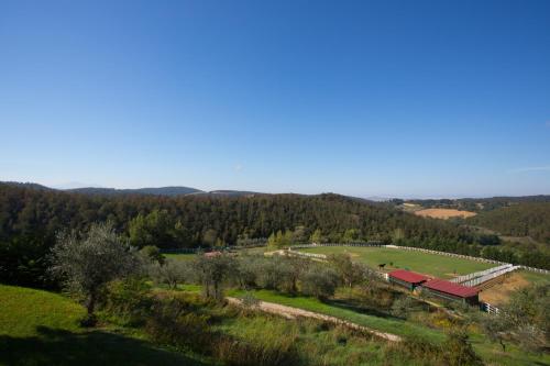 an aerial view of a farm with a field and trees at Villa Elisabetta in Trequanda