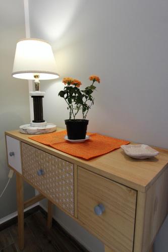 a table with a lamp and a potted plant on it at Case Vacanza Le Casette in Santo Stefano di Camastra