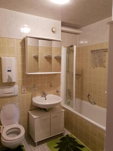 La salle de bains est pourvue de toilettes, d'un lavabo et d'une douche. dans l'établissement 60 qm mit Aussicht in Konz, à Konz
