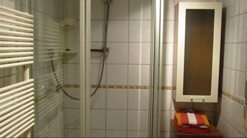 a shower with a glass door in a bathroom at Appartements della Schiava in Bad Kleinkirchheim